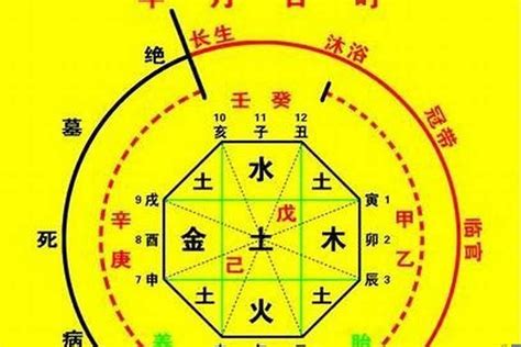 時辰 八字|生辰八字算命、五行喜用神查詢（免費測算）